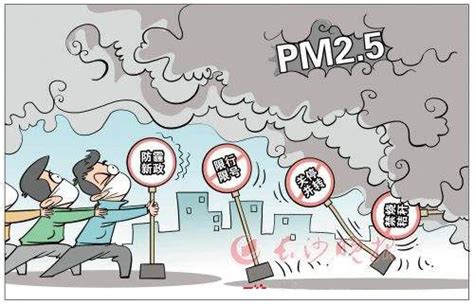 pm2 5是空气污染物吗